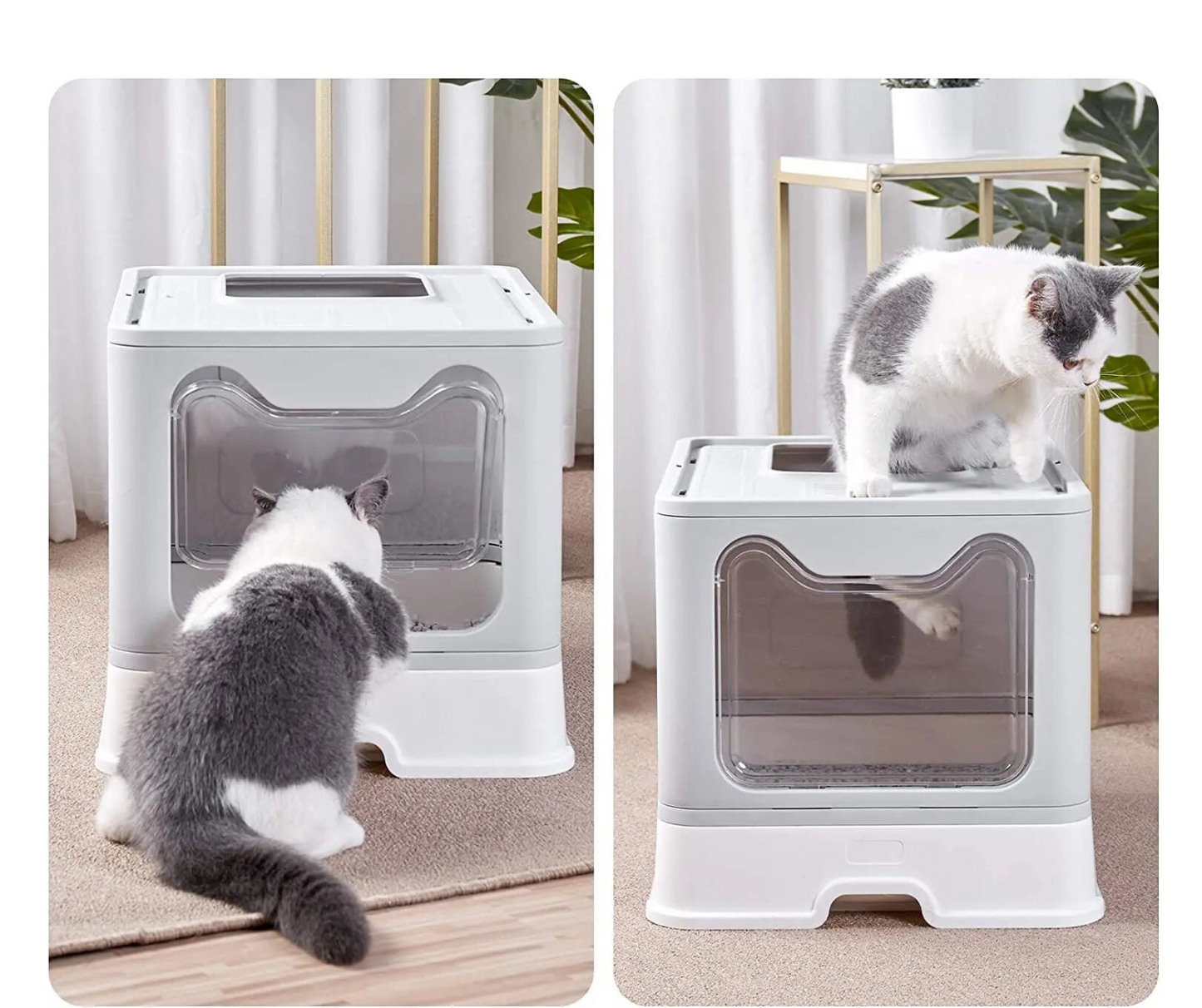 PetPeach Modern Litter Box