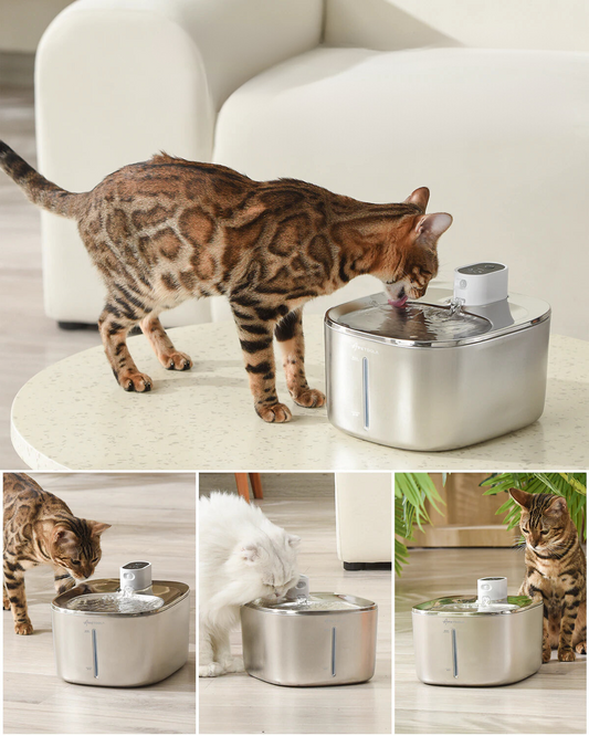 4L Wireless Cat Water Fountain Auto Sensor Drinking Fountain for Cats Dog Drinker Pet Water Dispenser Accessories