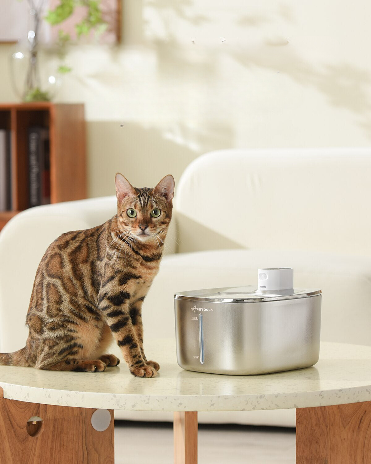 4L Wireless Cat Water Fountain Auto Sensor Drinking Fountain for Cats Dog Drinker Pet Water Dispenser Accessories